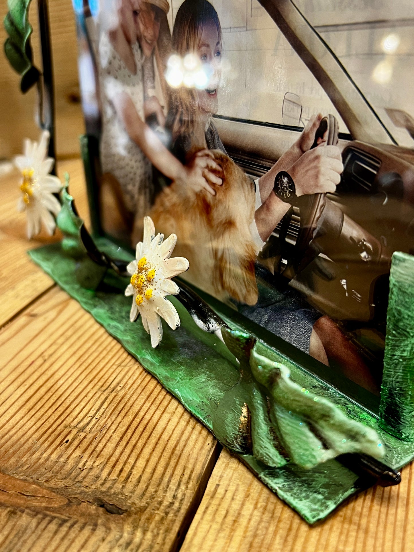 Portafoto Stelle Alpine