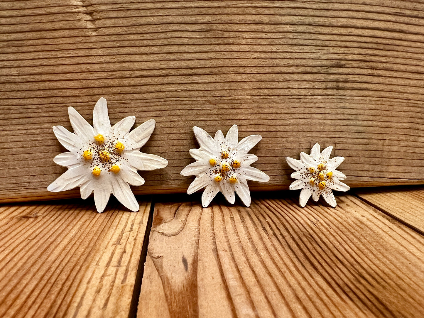 Magnete stella alpina (set di 3)