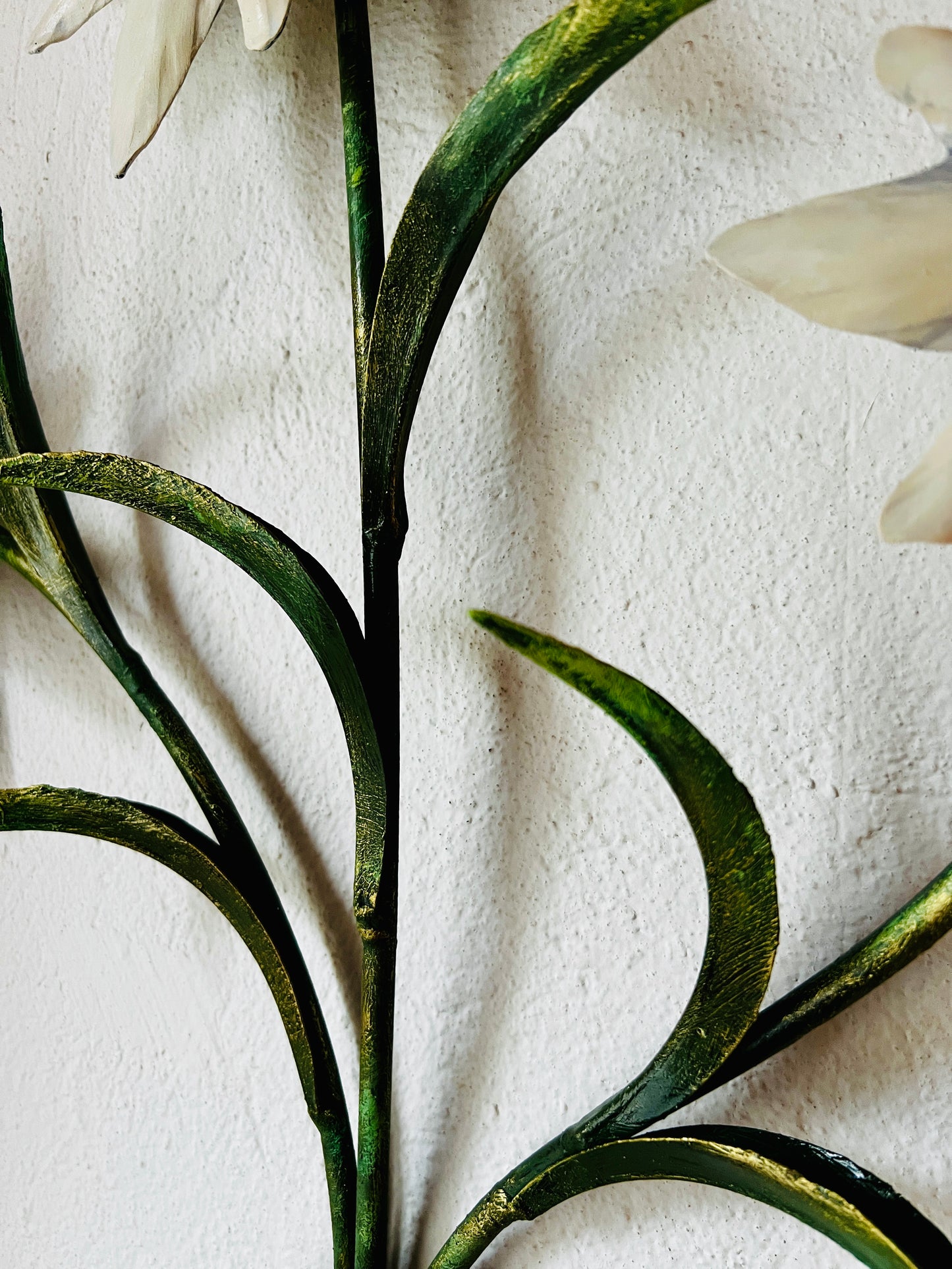 Mazzo di stelle alpine