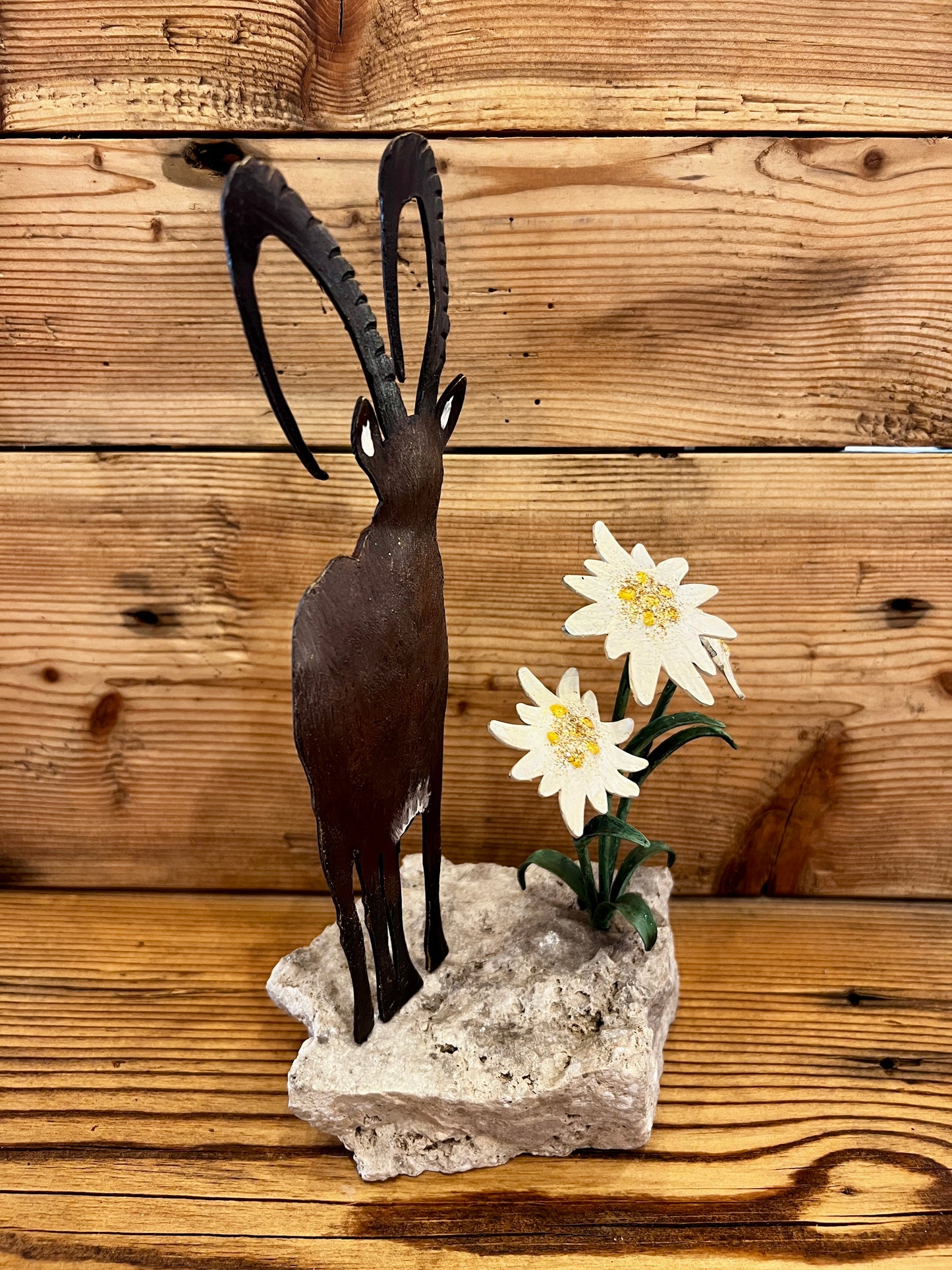 Stambecco e stelle alpine su sasso