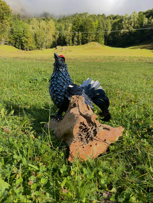 Gallo Forcello