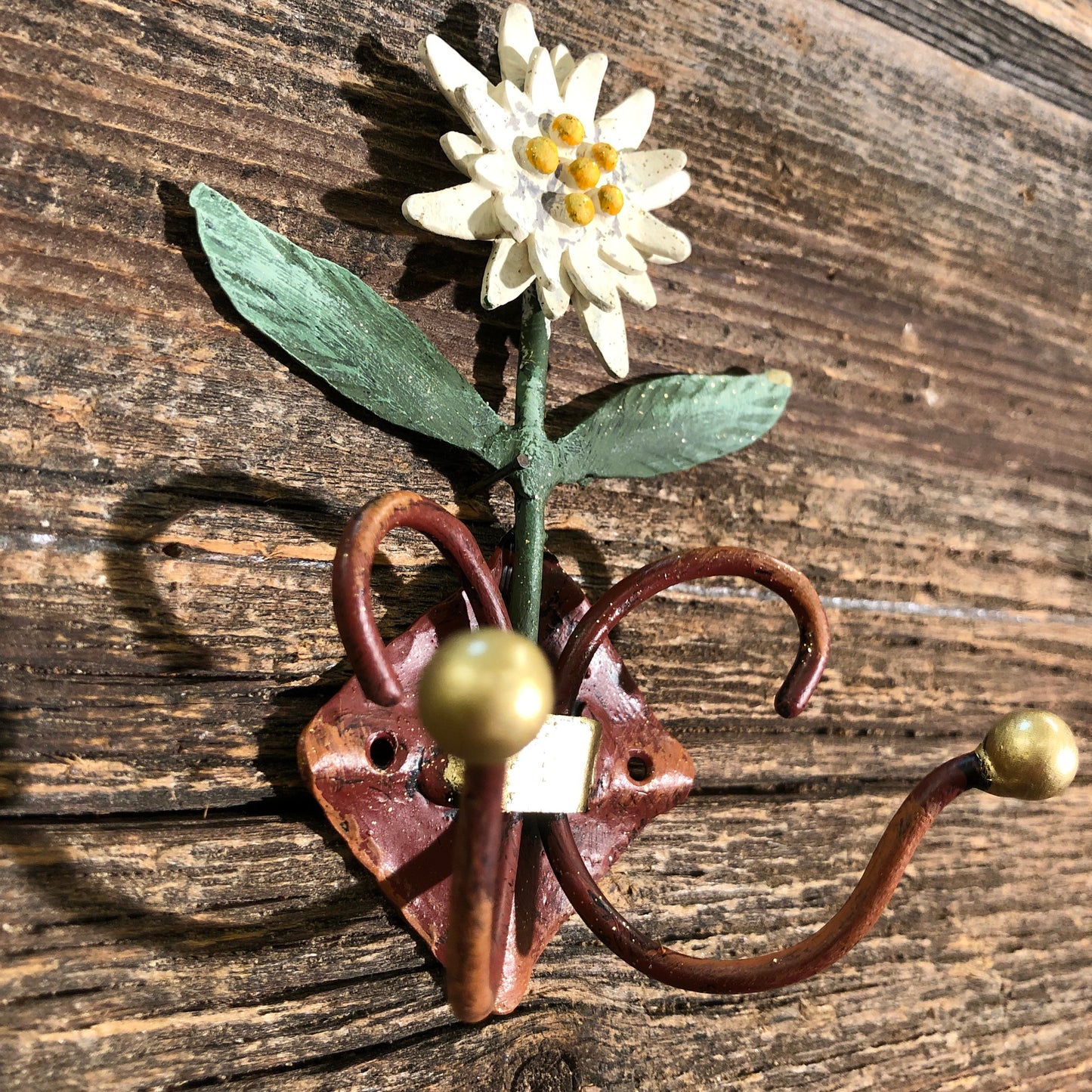 Apppendino stelle alpine