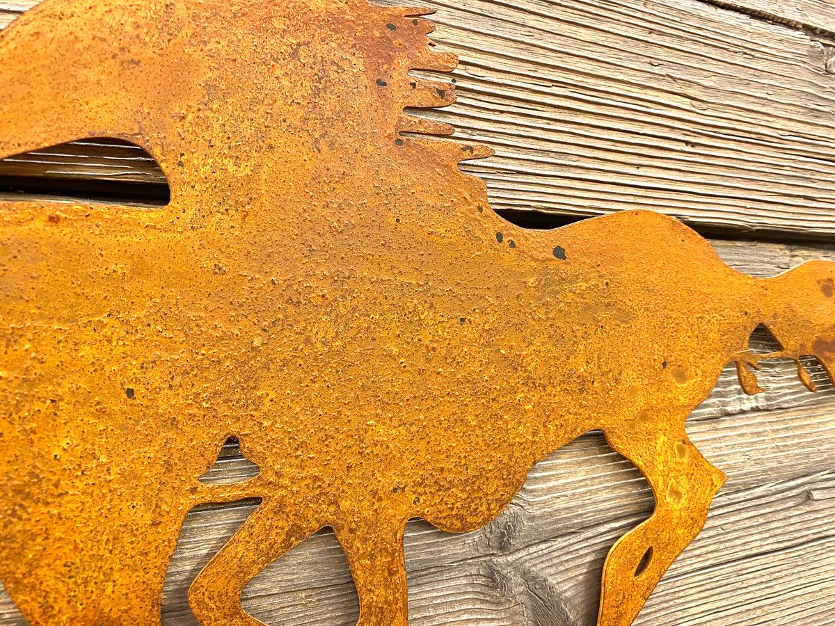 Wild Horses La Fosina