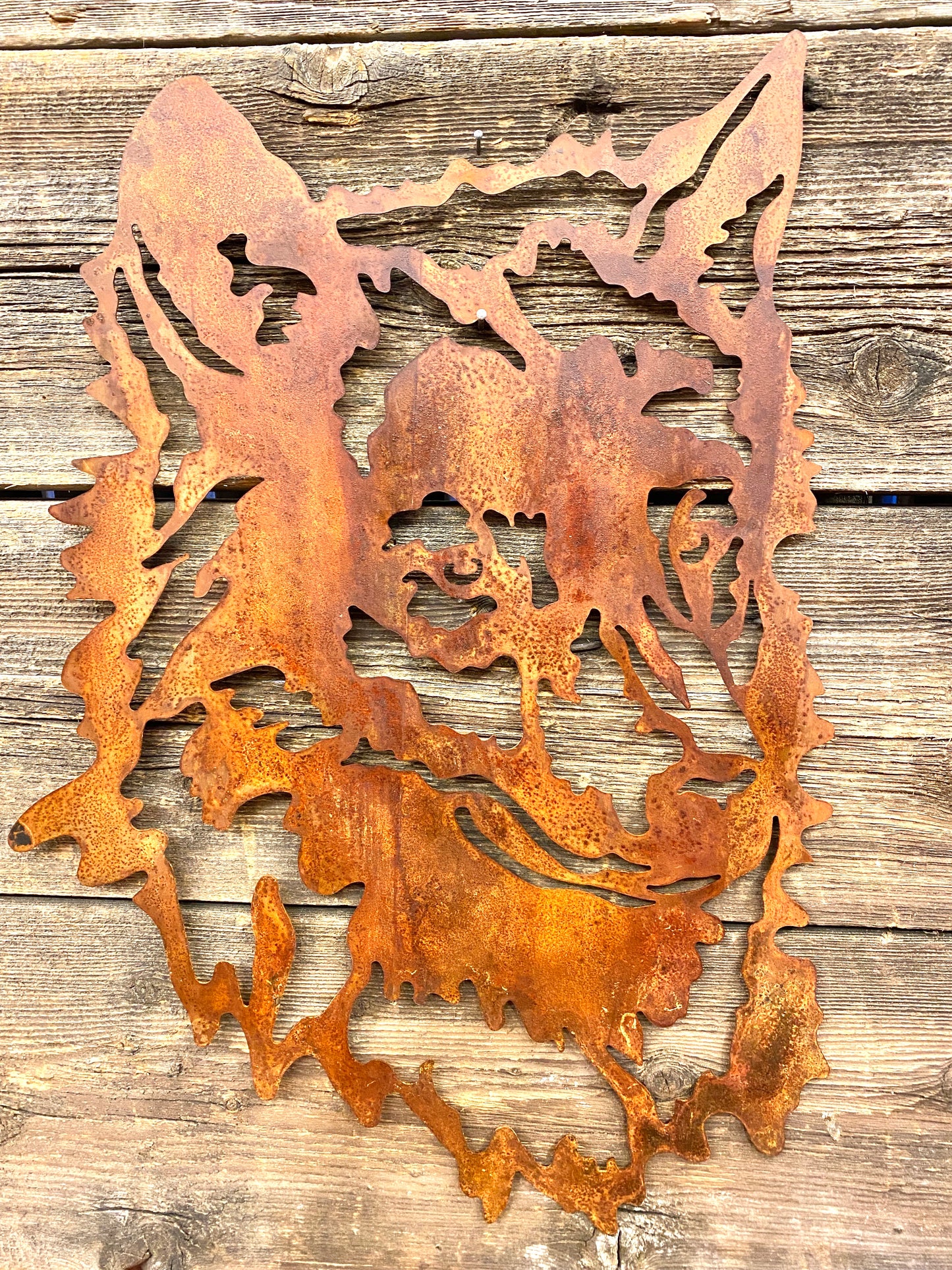 Wolf of the Dolomites