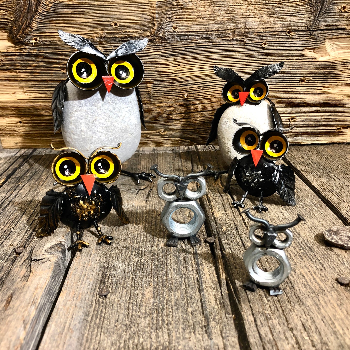 Little Owl "Bolts"