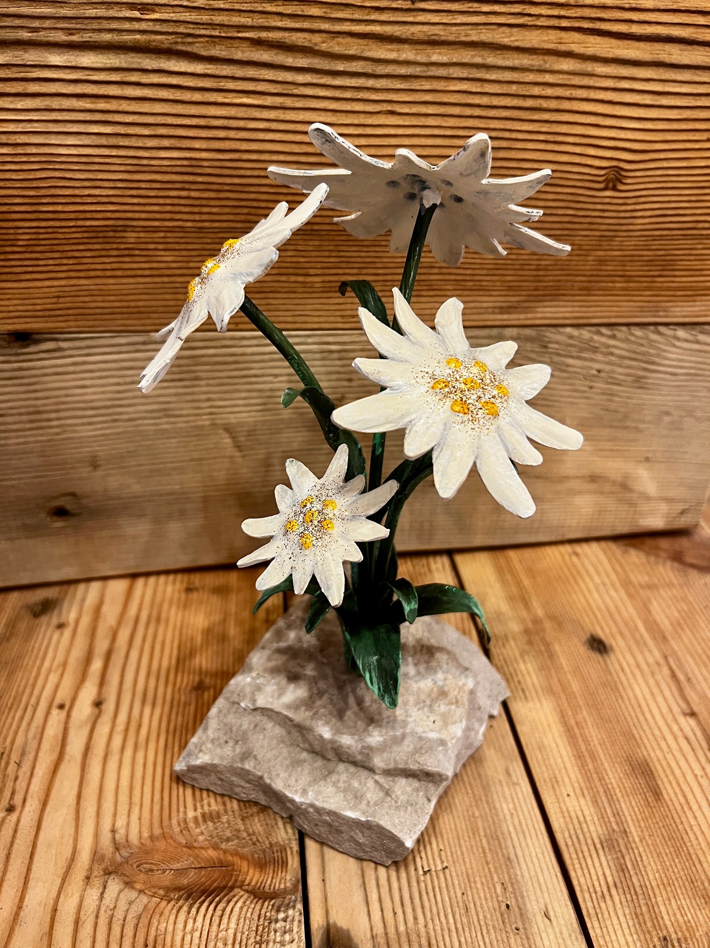 Stelle alpine su sasso