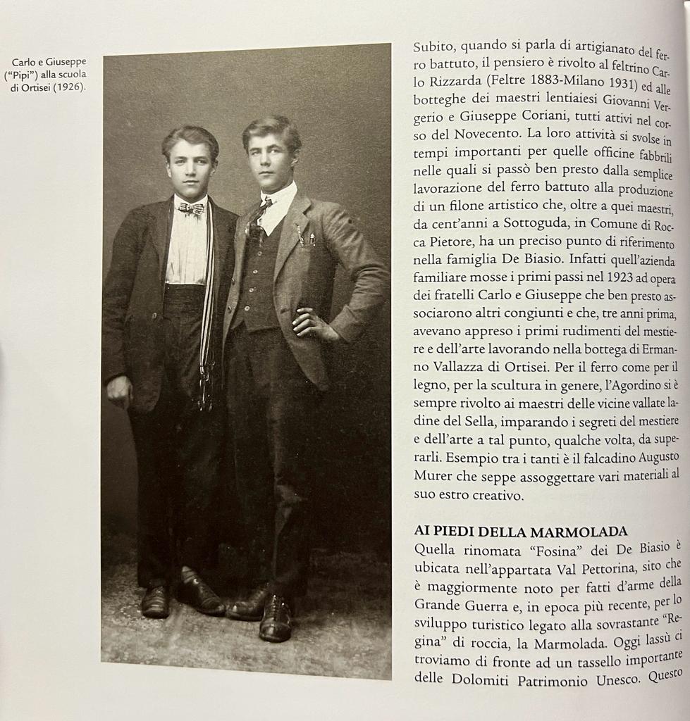 De Biasio family book
