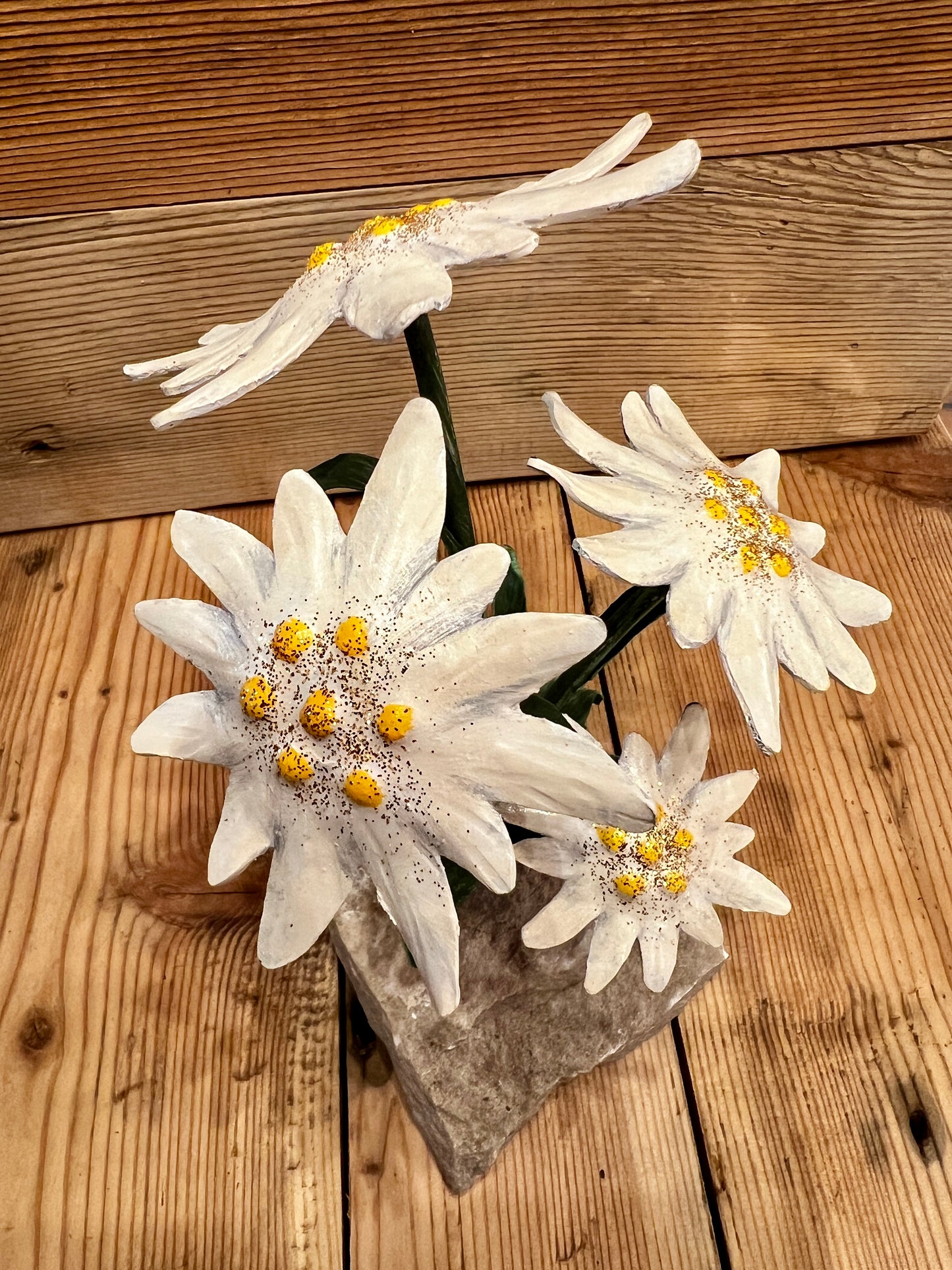 Stelle alpine su sasso