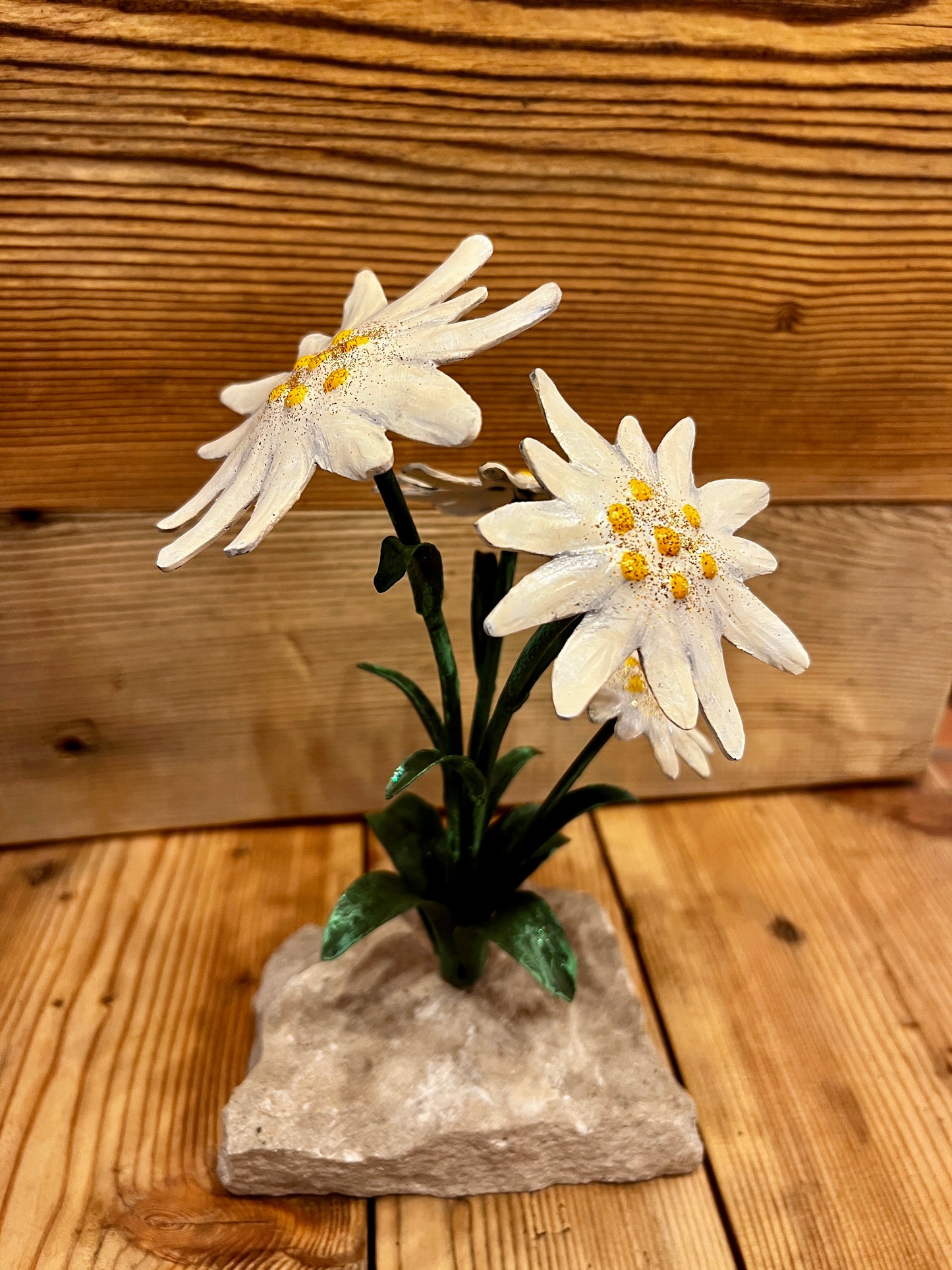 Stelle alpine su sasso