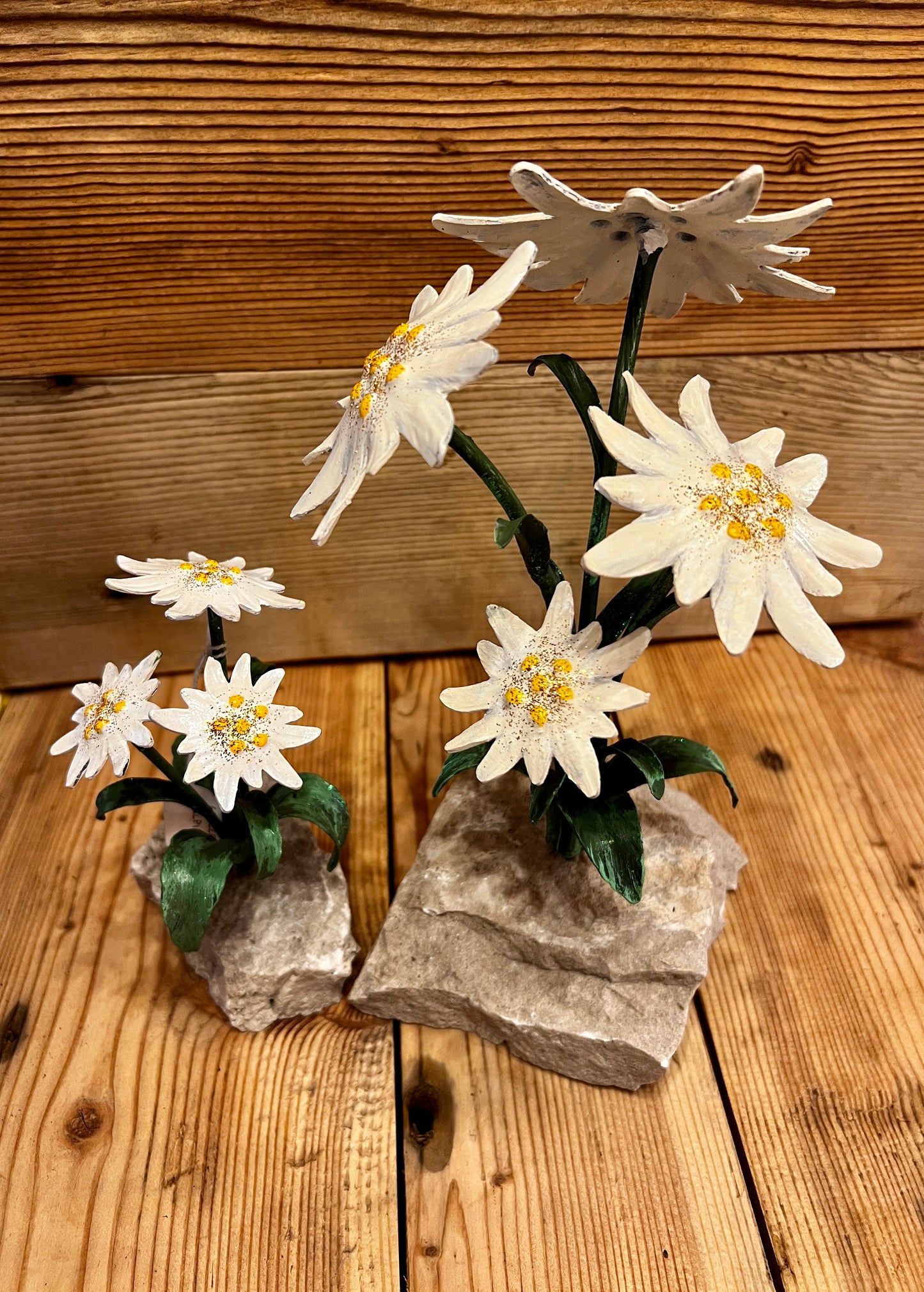 Stelle alpine su sasso