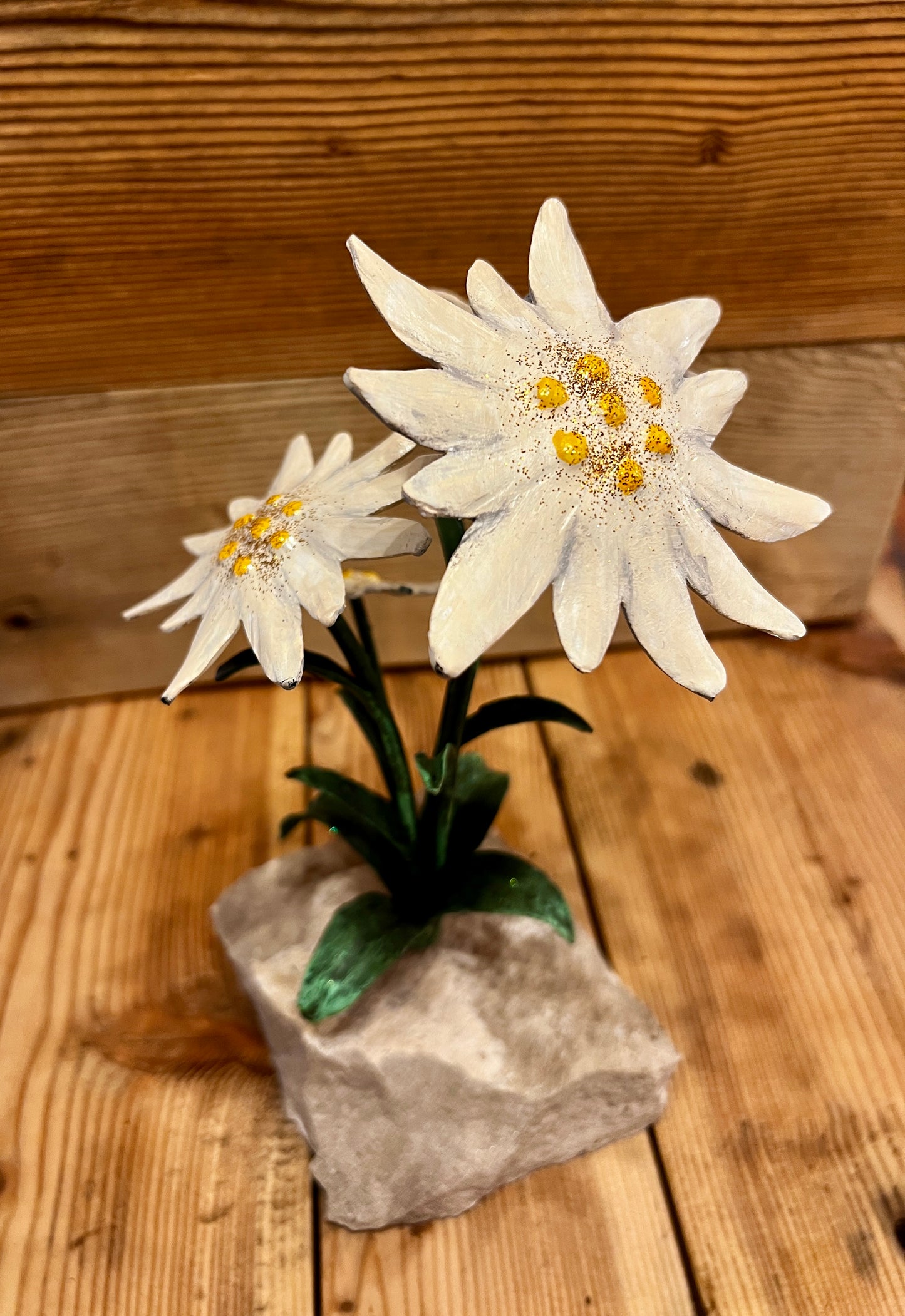 Stelle alpine su sasso
