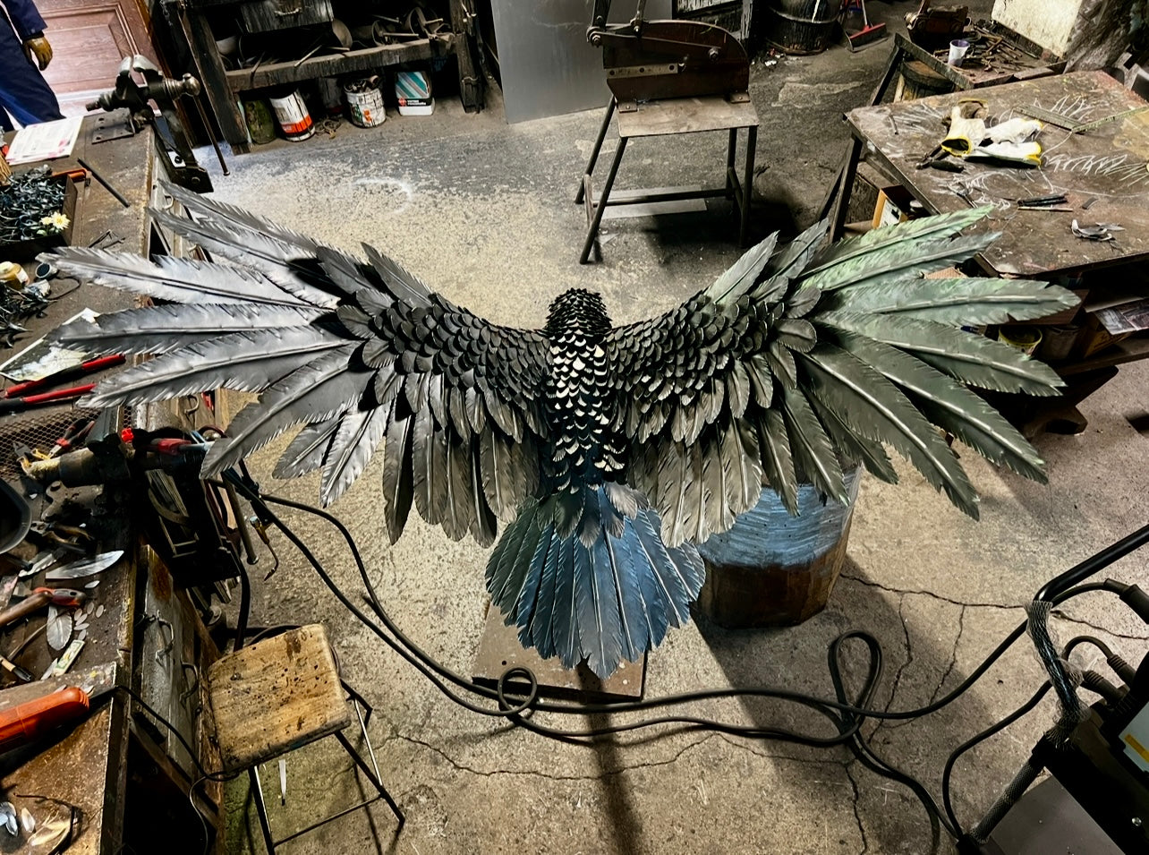 Aquila reale