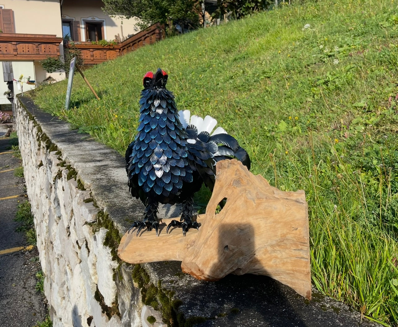 Gallo Forcello