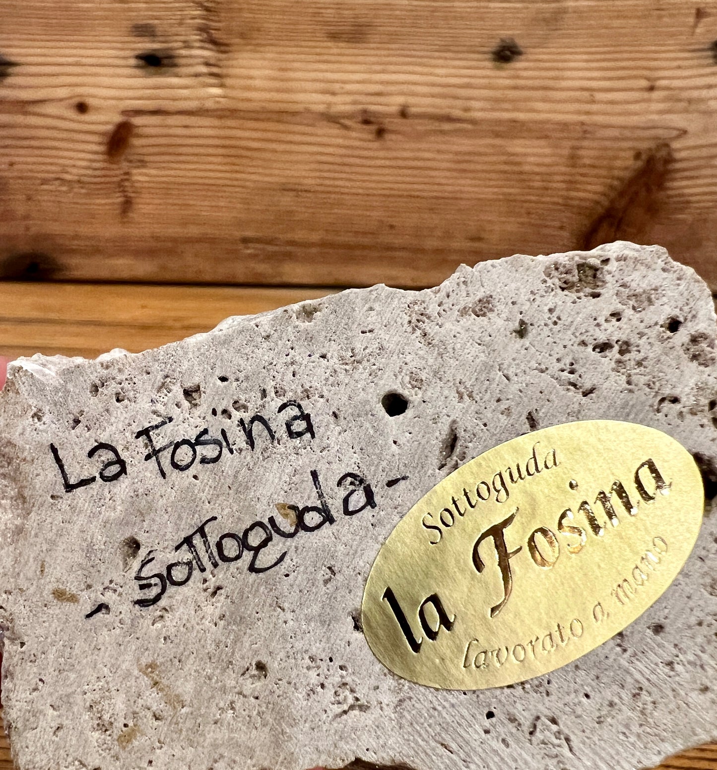 Stella alpina su sasso