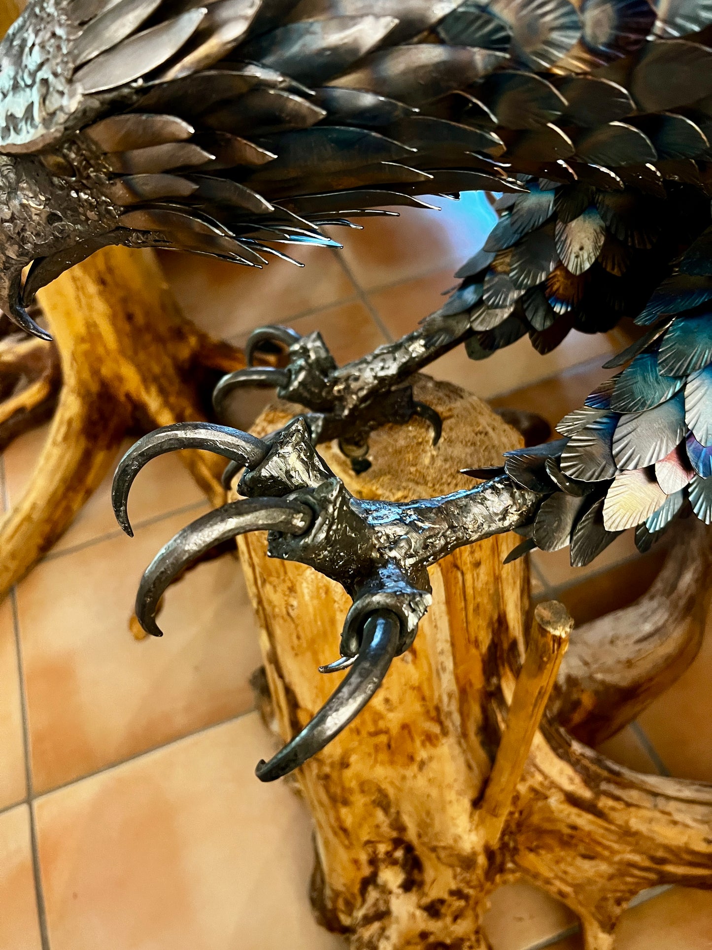 Aquila reale