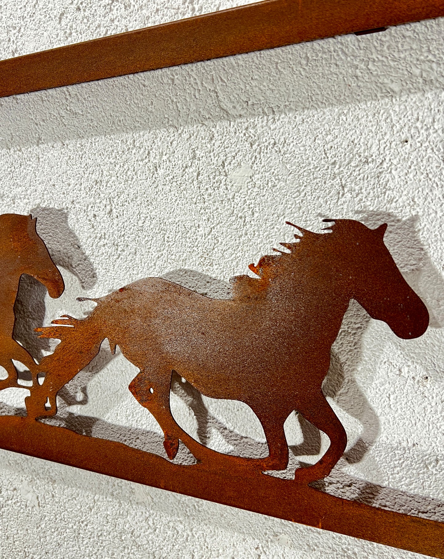 Crazy horses