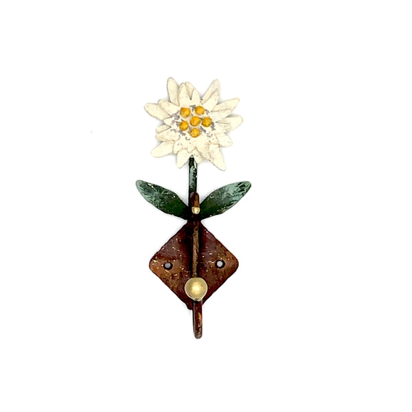 Appendino stella alpina