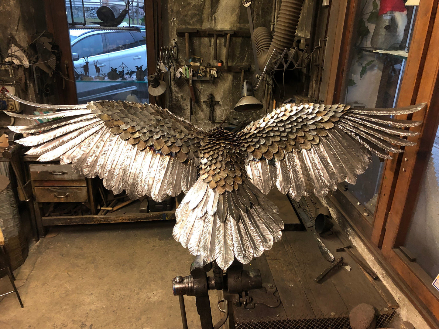 Aquila
