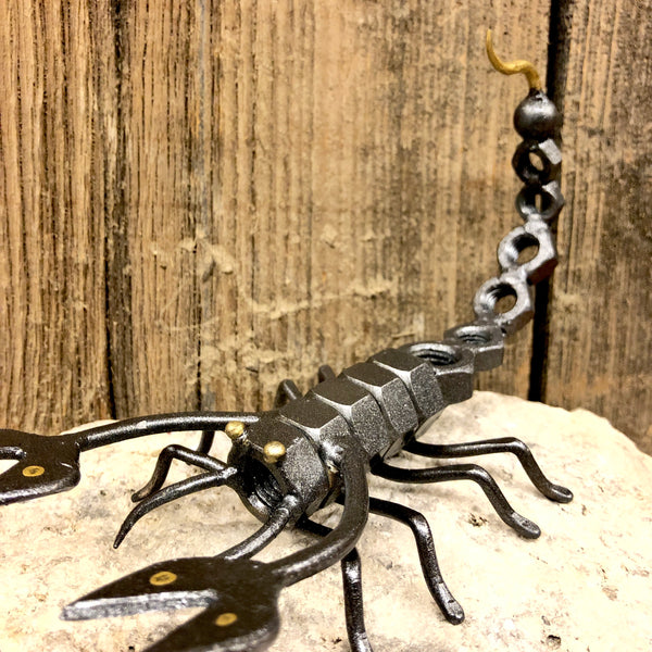 Scorpione in ferro battuto