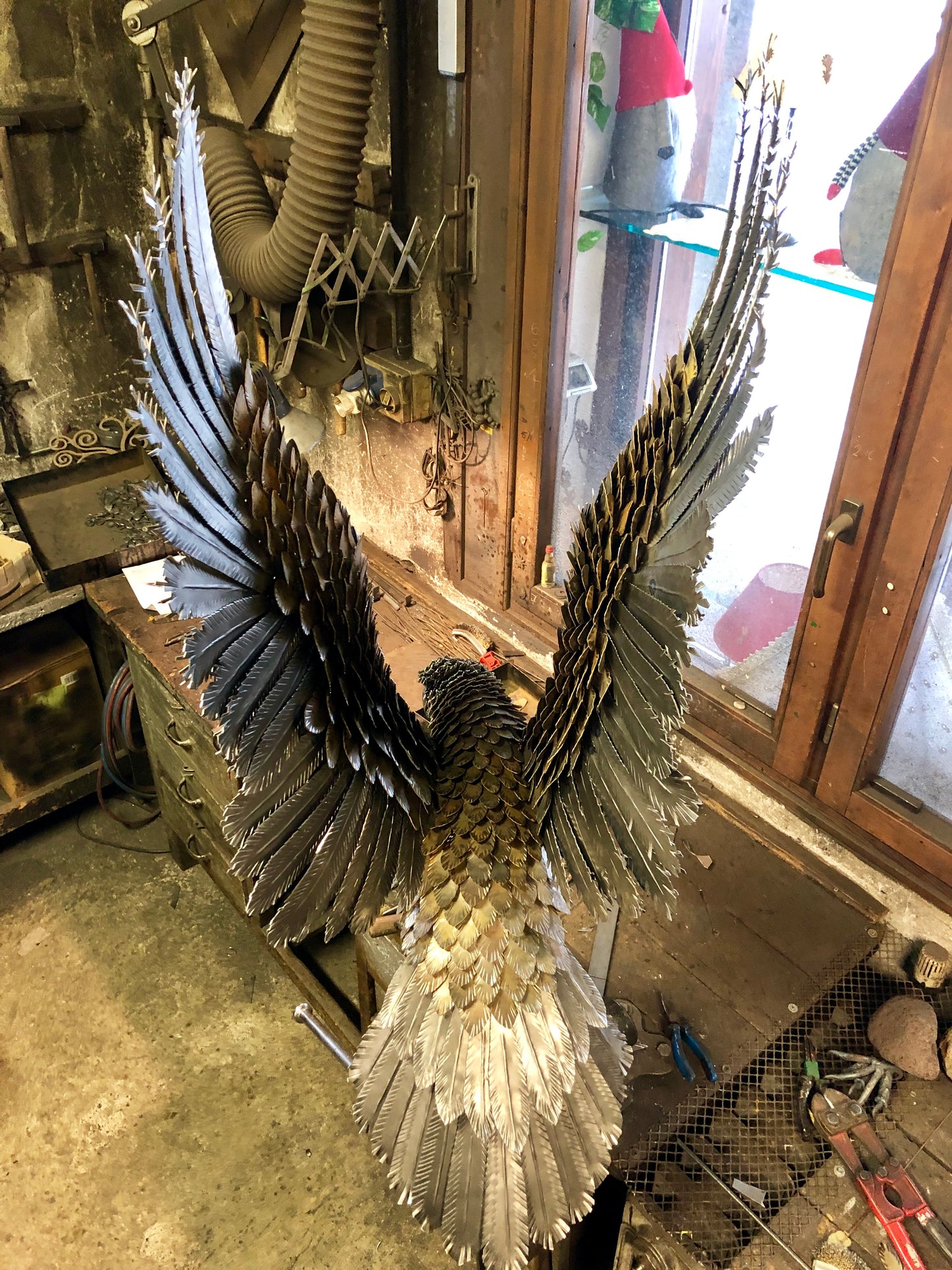 Aquila