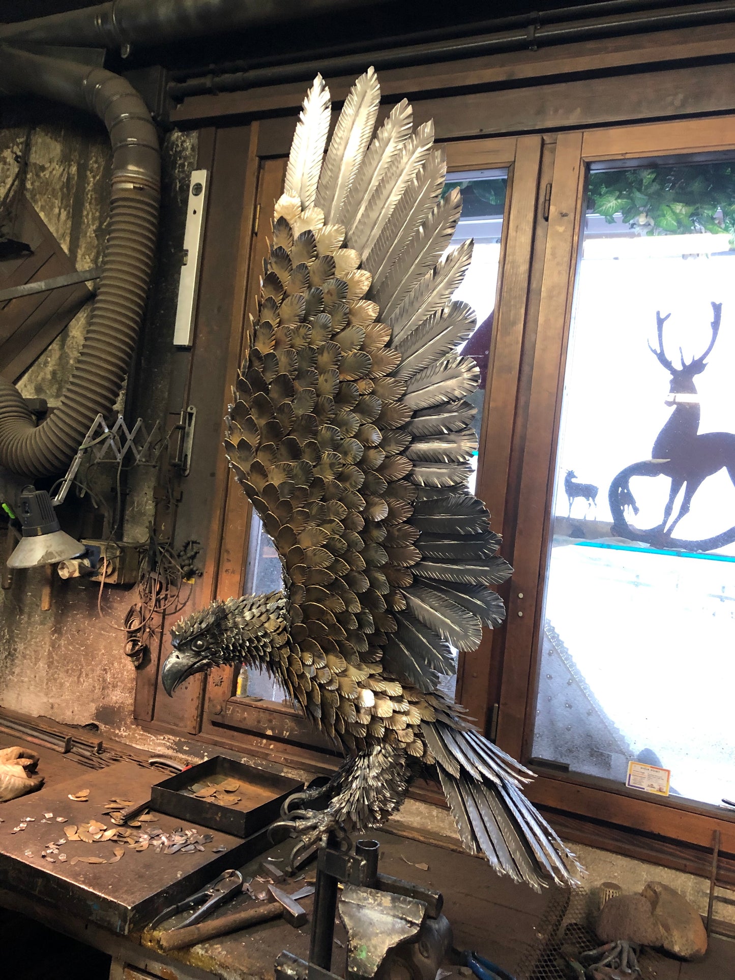 Aquila