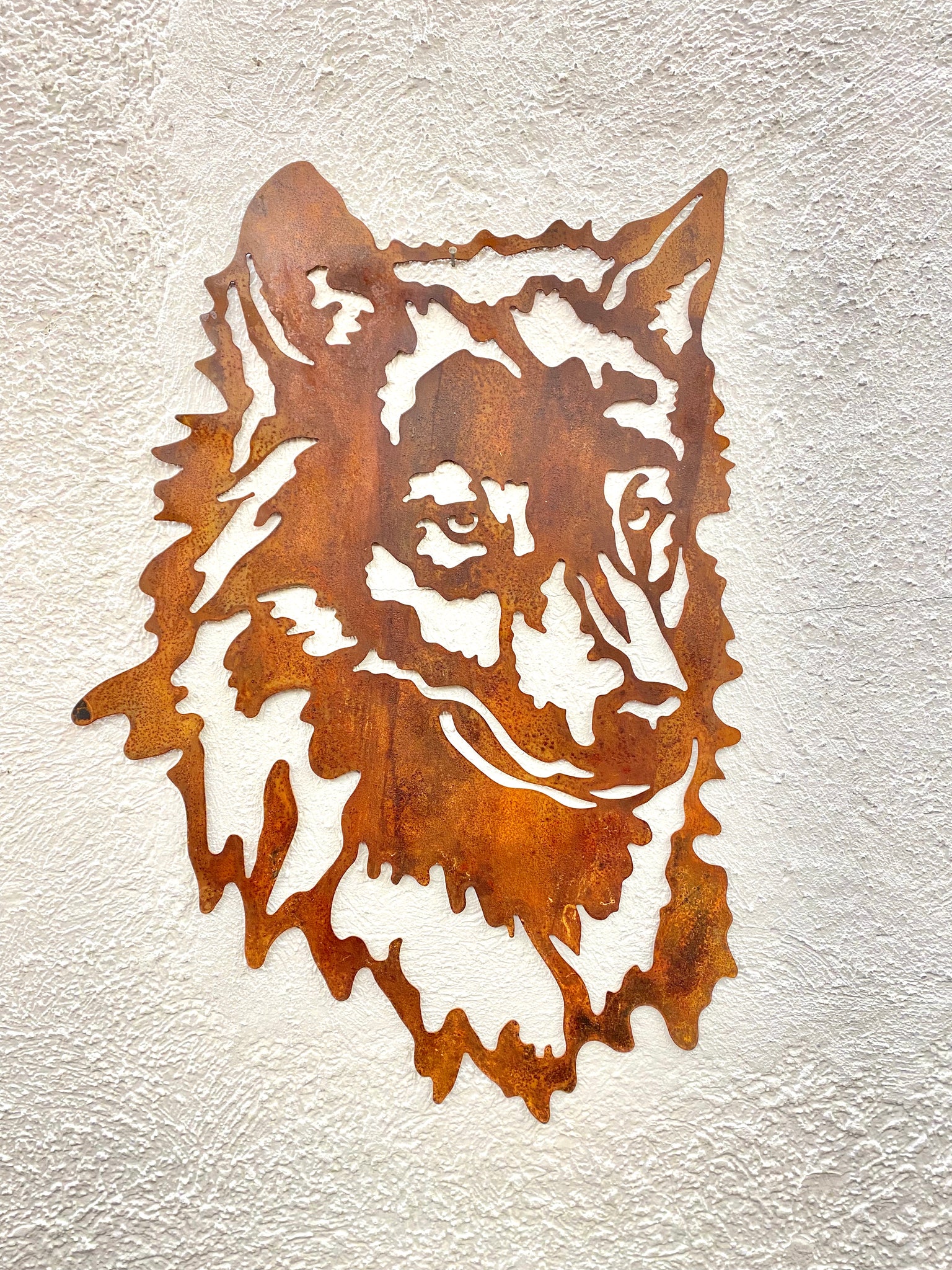Lupo delle Dolomiti