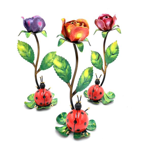 Coccinella con rosa