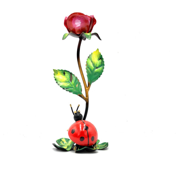 Coccinella con rosa