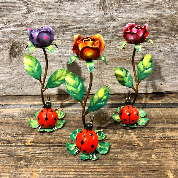Coccinella con rosa