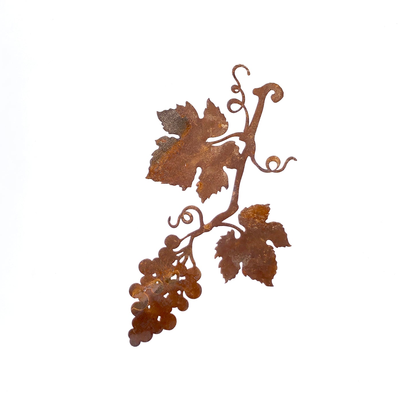 Tralcio d'uva