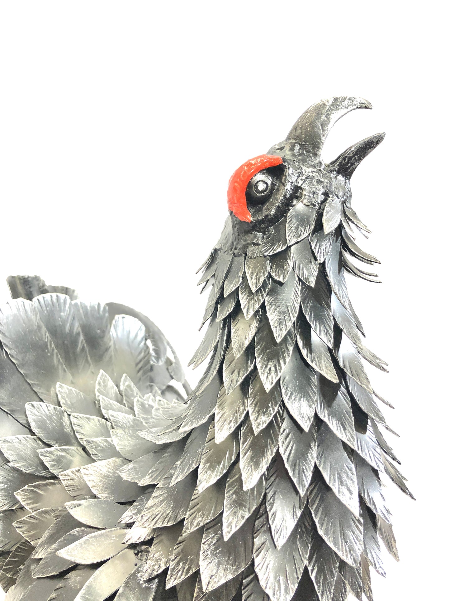 Gallo forcello