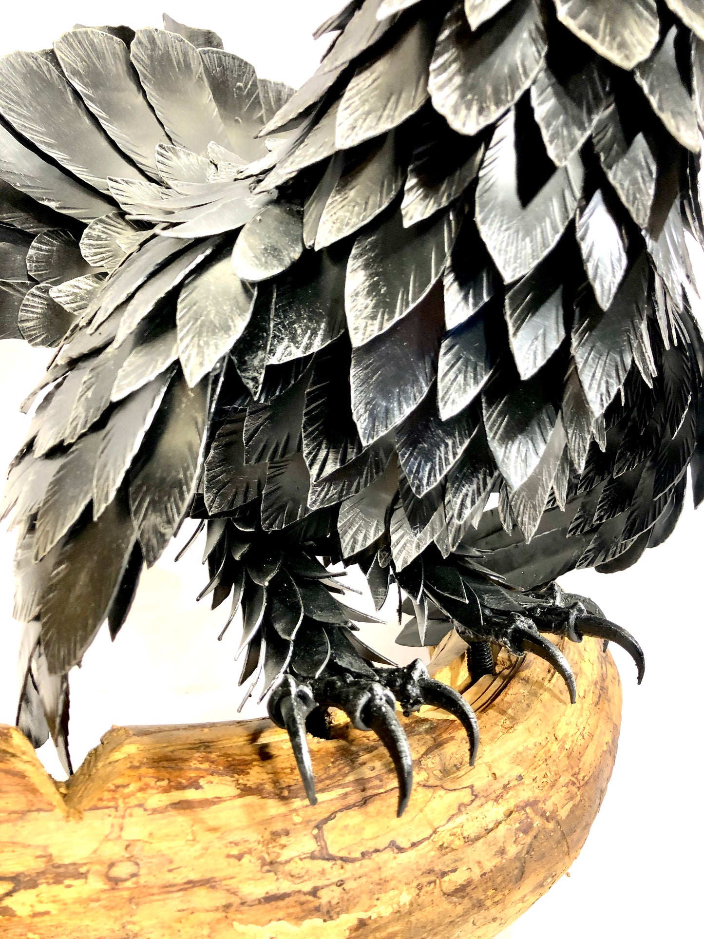 Gallo forcello