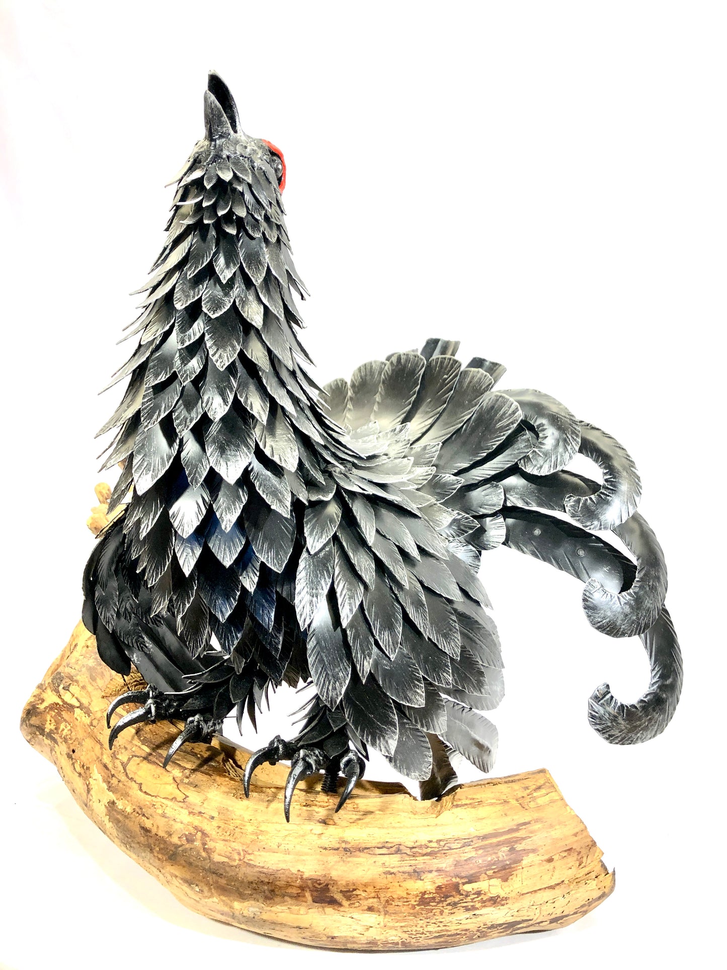 Gallo forcello