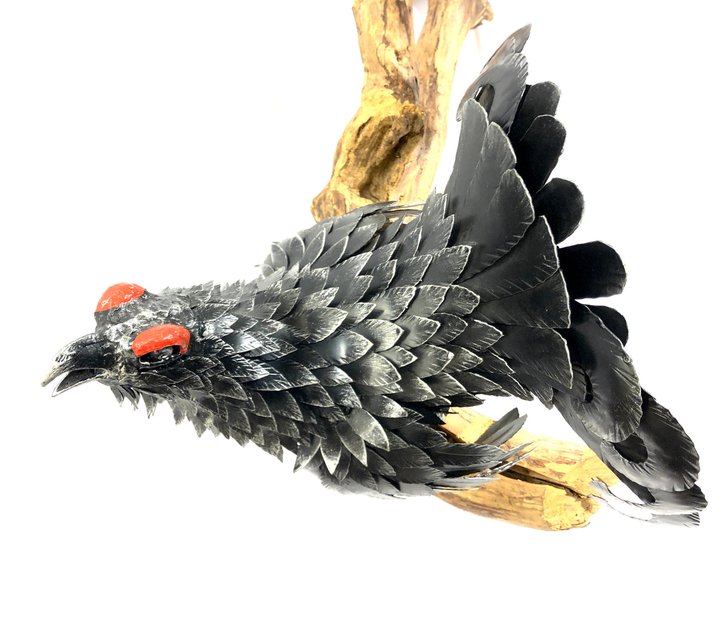 Gallo forcello