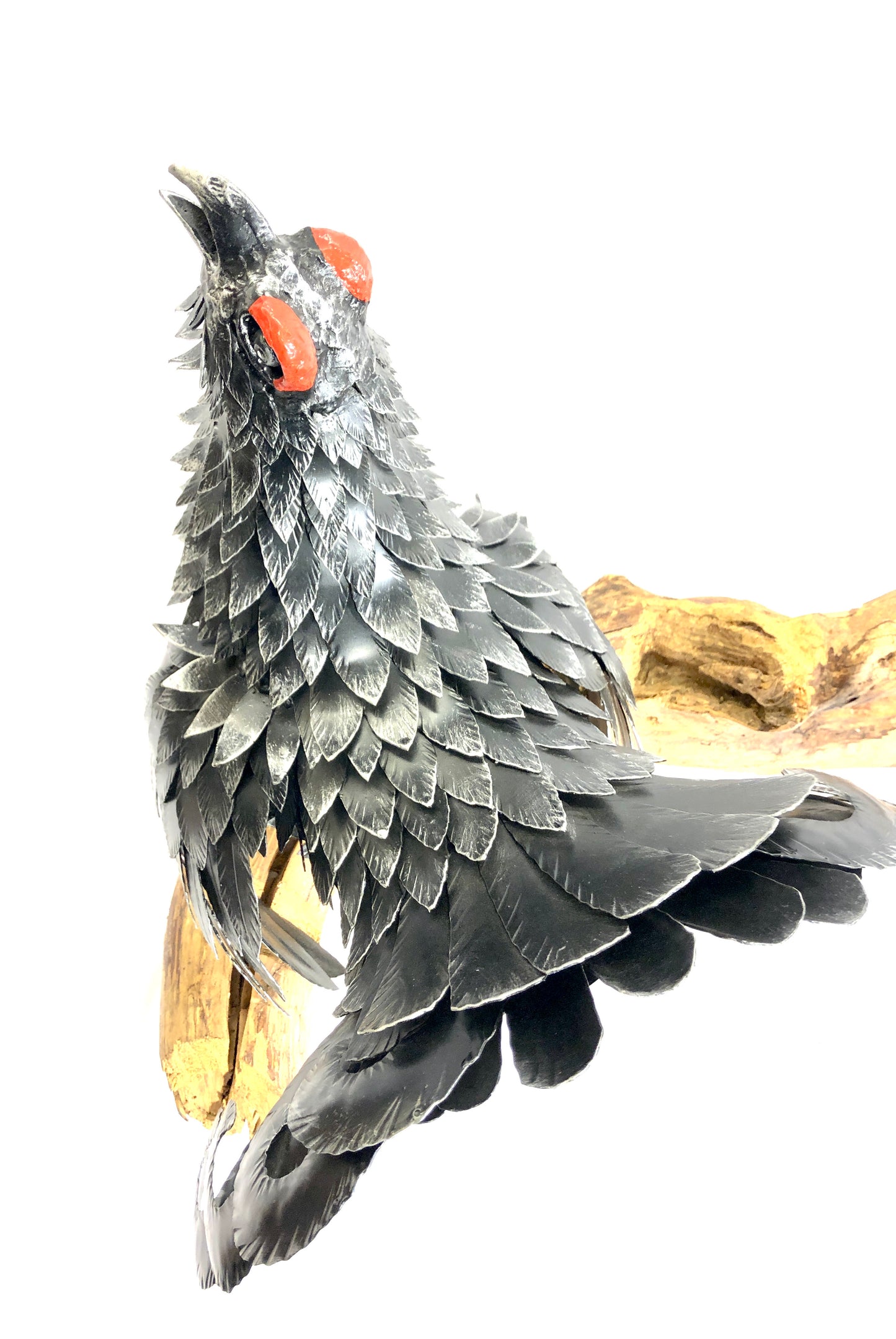 Gallo forcello