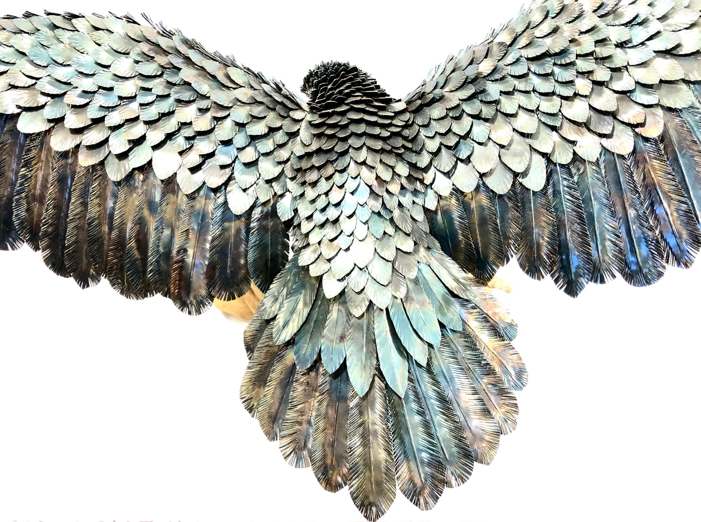 Aquila