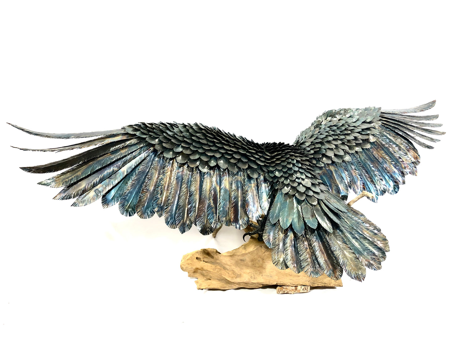 Aquila