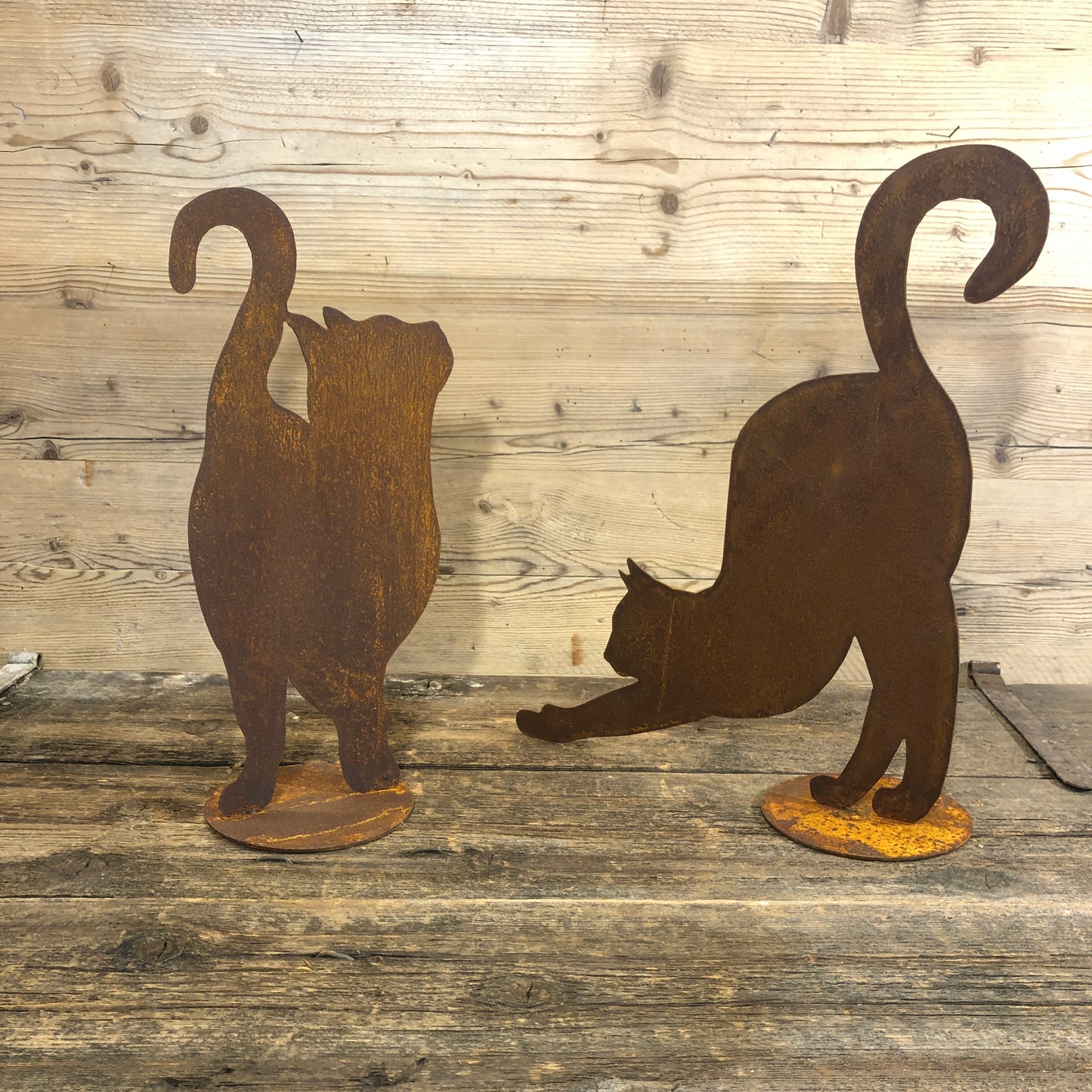 Corten Cat