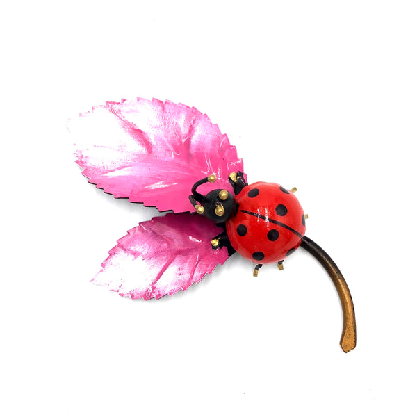 Coccinella su foglie