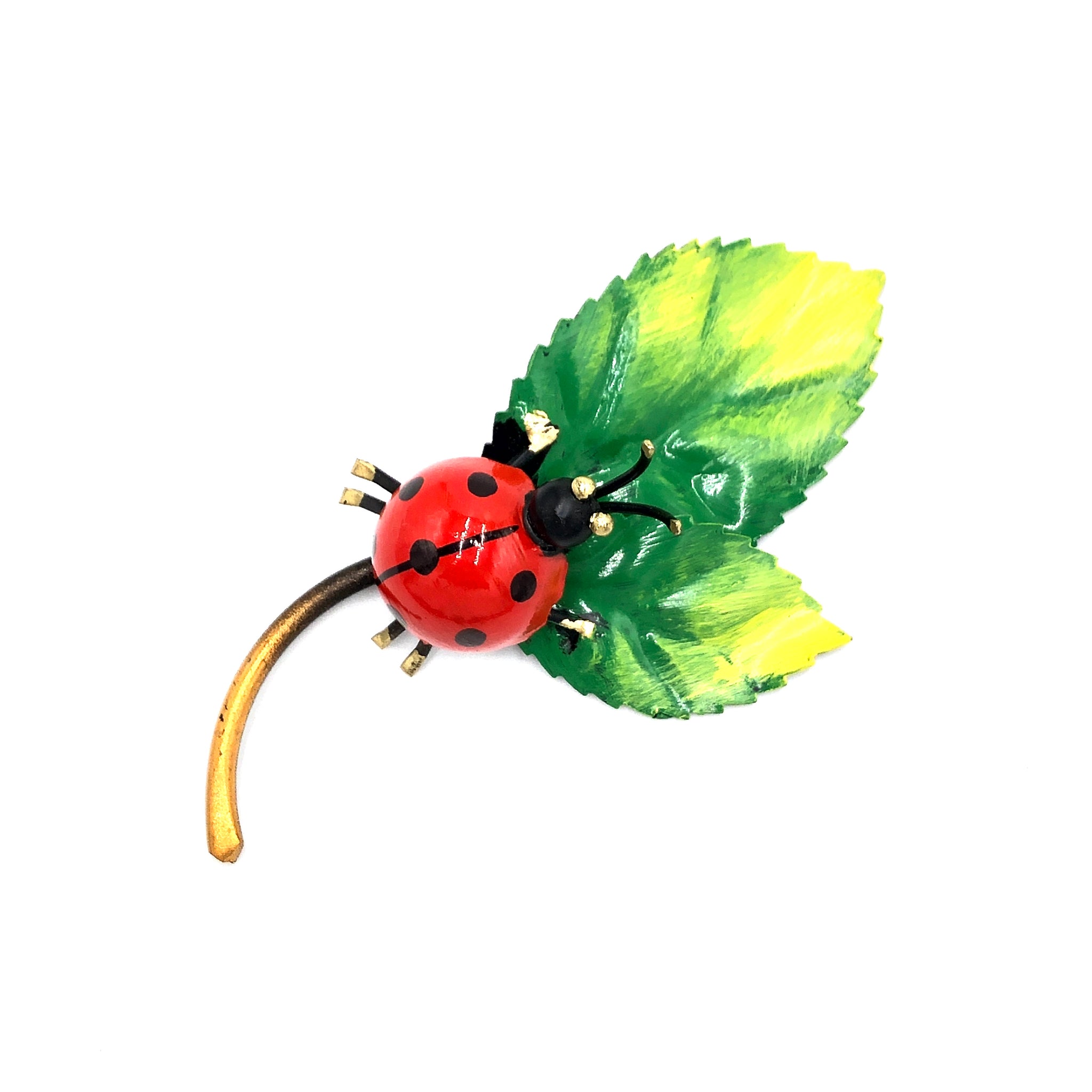 Coccinella su foglie