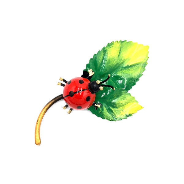 Coccinella su foglie