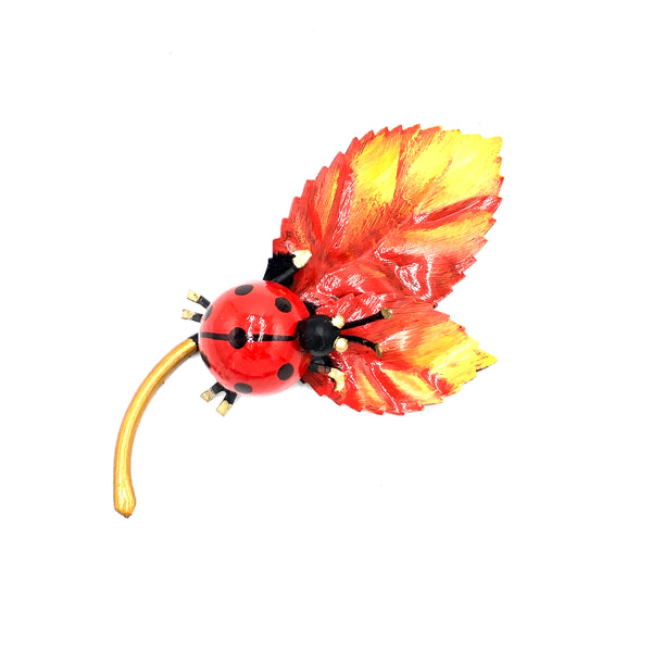 Coccinella su foglie