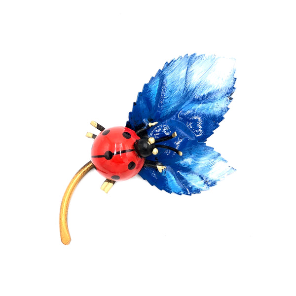 Coccinella su foglie